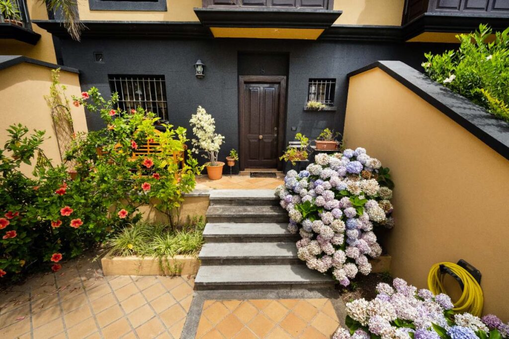 Des belles plantes dans le jardin devant la maison